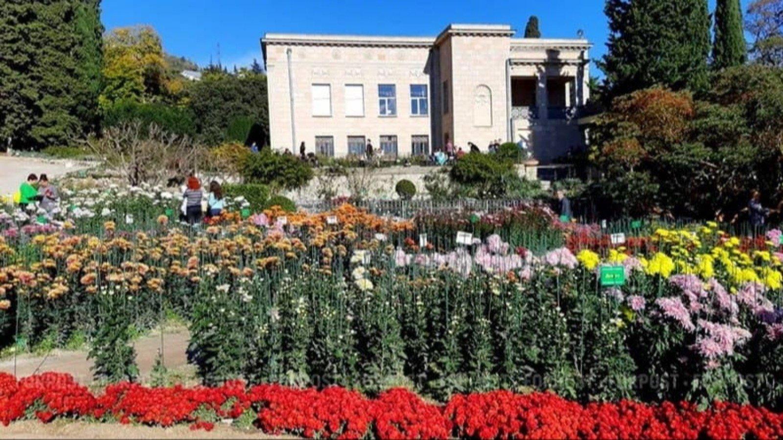 Росіяни намагаються за допомогою квітів заманити туристів у тимчасово окупований Крим