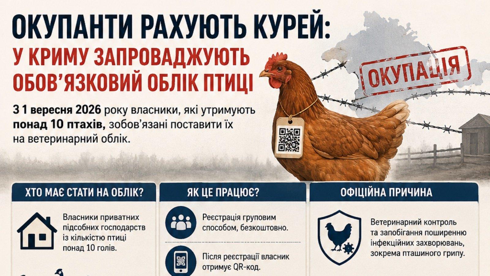 Окупанти рахують курей: в окупованому Криму запроваджують обов’язковий облік свійської птиці