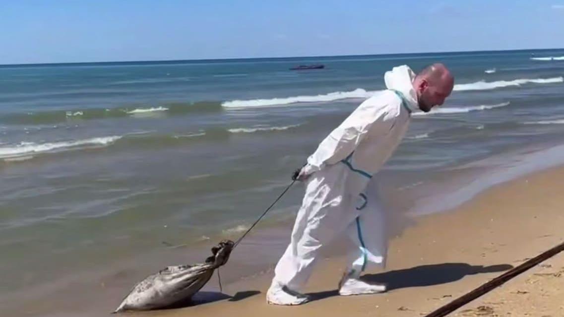 У Криму зібрали майже два мільйони забрудненого нафтопродуктами піску та груну
