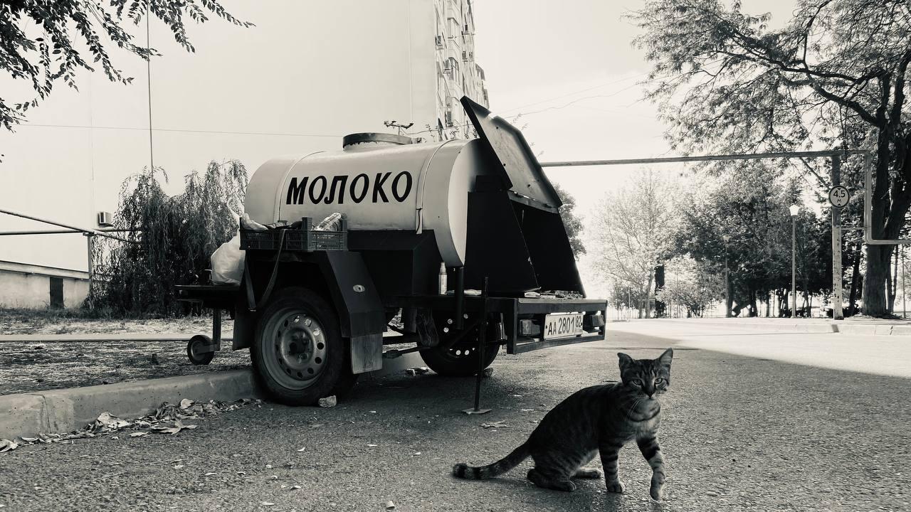 В окупованій Керчі поширюють досвід срср з продажі молока