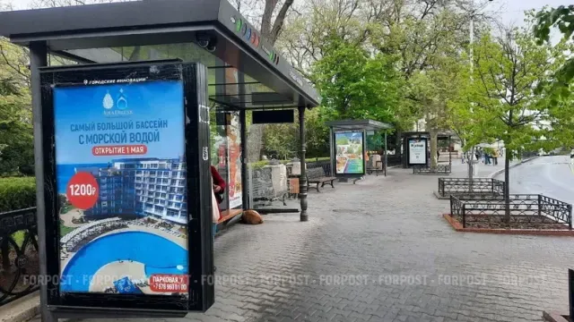 В окупованому Севастополі бізнесмени взялися заперечувати "націоналізацію"