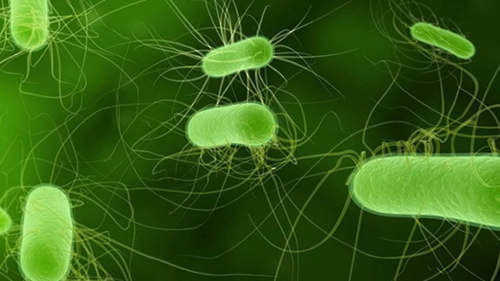 Від нежитю до реанімації: в окупований Крим пробралася суперінфекція