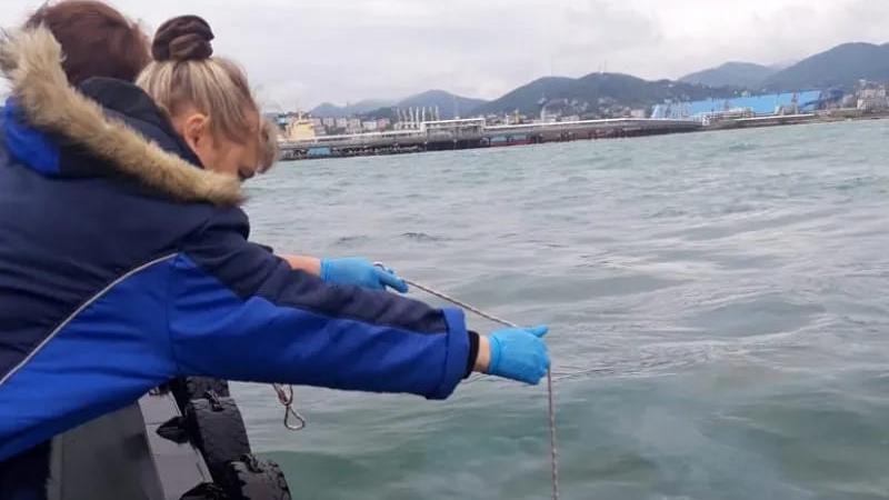 Затонулий біля берегів Криму плавкран завдав багатомільйонної шкоди Чорному морю