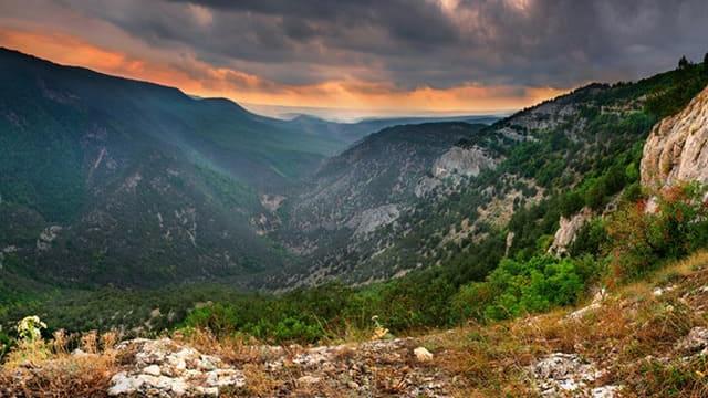 Новий російський закон може знищити кримську природу щільними забудовами