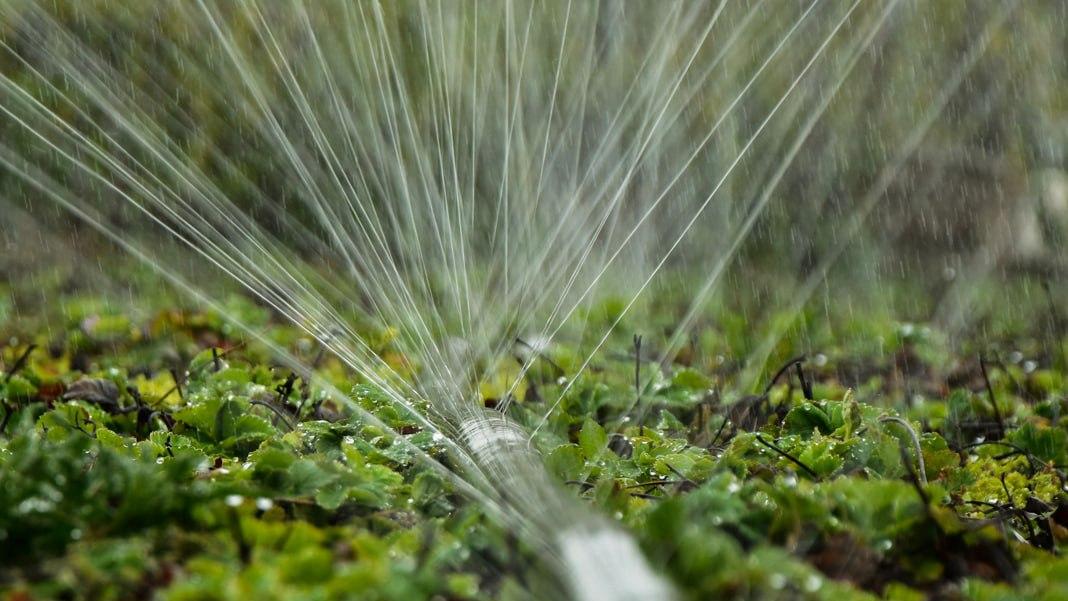 Водна скрута в Криму: окупанти змушені переводити дві третини вцілілих зрошуваних земель на крапельний полив