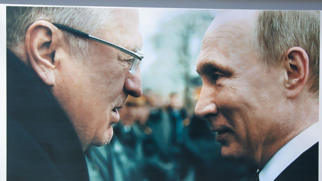 Окупаційна влада в Криму знову «фанатіє» від Жириновського: відкрила фотовиставку та планує встановити памʼятник