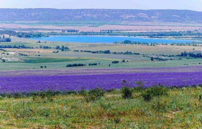 Сільське господарство Кримського півострова: мрії та реальність